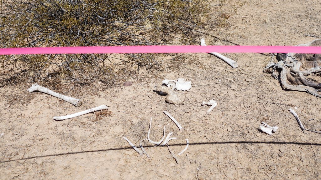 Human Remains Found In Arizona Have Been Identified As Sherman George ...