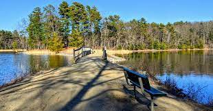 Charlotte Sena who went missing at Moreau Lake State Park is now being searched by over a hundred of personnel. (Photo: Alabany.com)