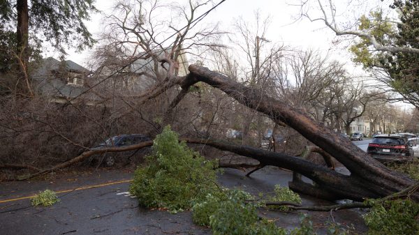 A falling tree branch was the cause of death of a man in Maine after the powerful storm hit. (Photo: Capital Public Radio)