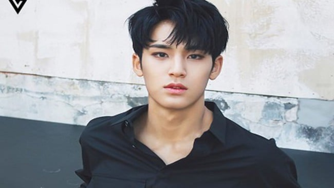 Kim Mingyu Age